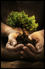 Environmental Impact Statements