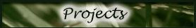 projects