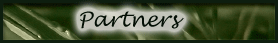 partners