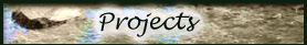 projects