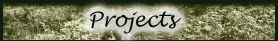 projects