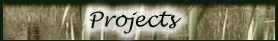 projects