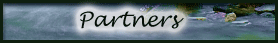 partners