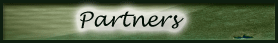 partners