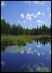 Stream and Lake Water Quality Assessment