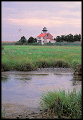 Complete Wetland Studies